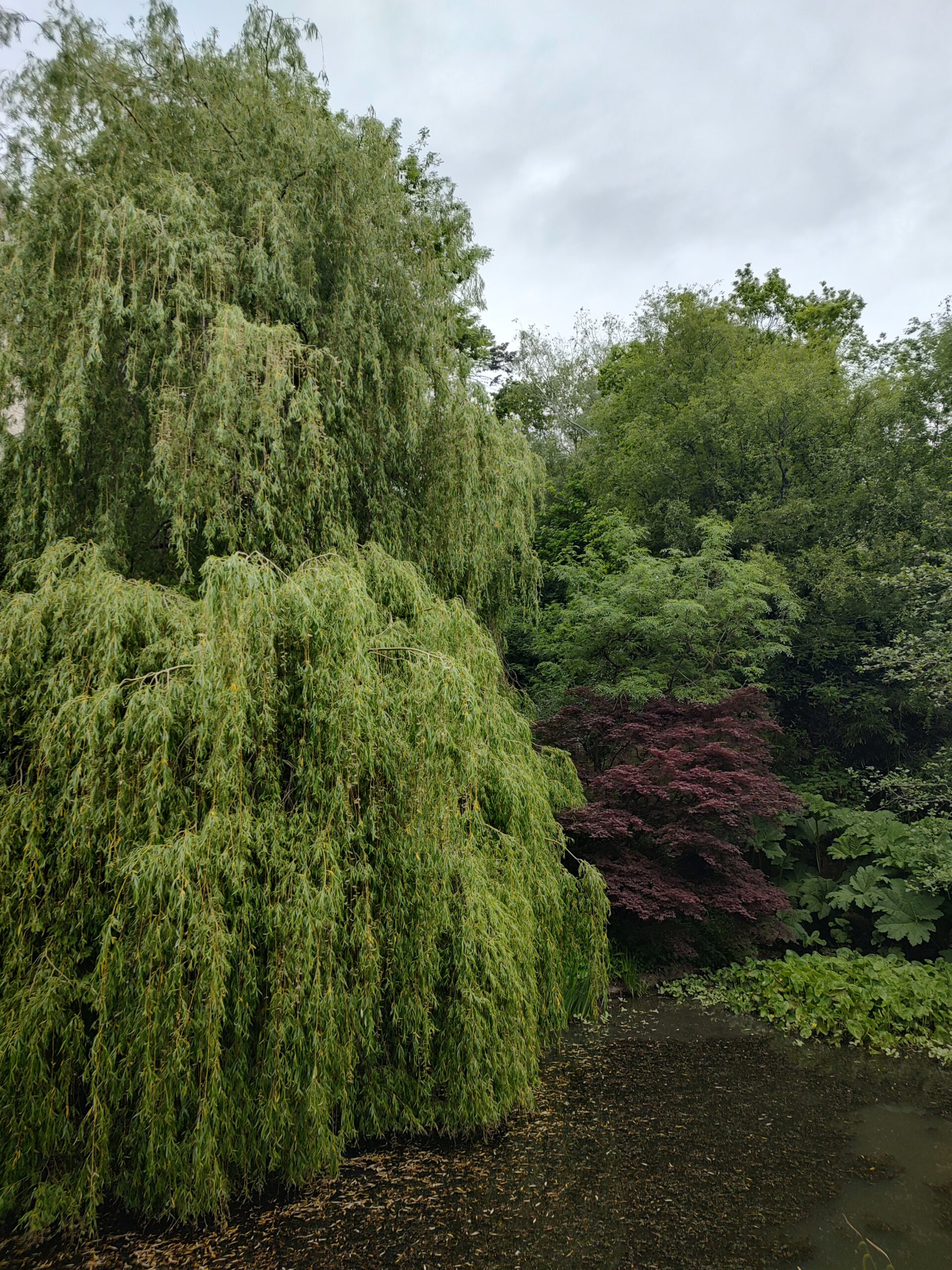 IMG_20260505_180841816_HDR